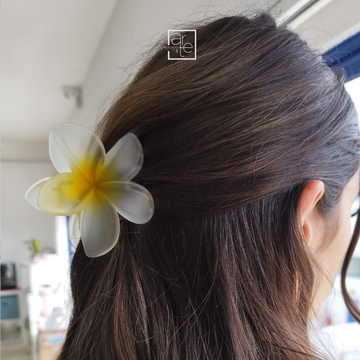 Conjunto molas cabelo "Monoi"