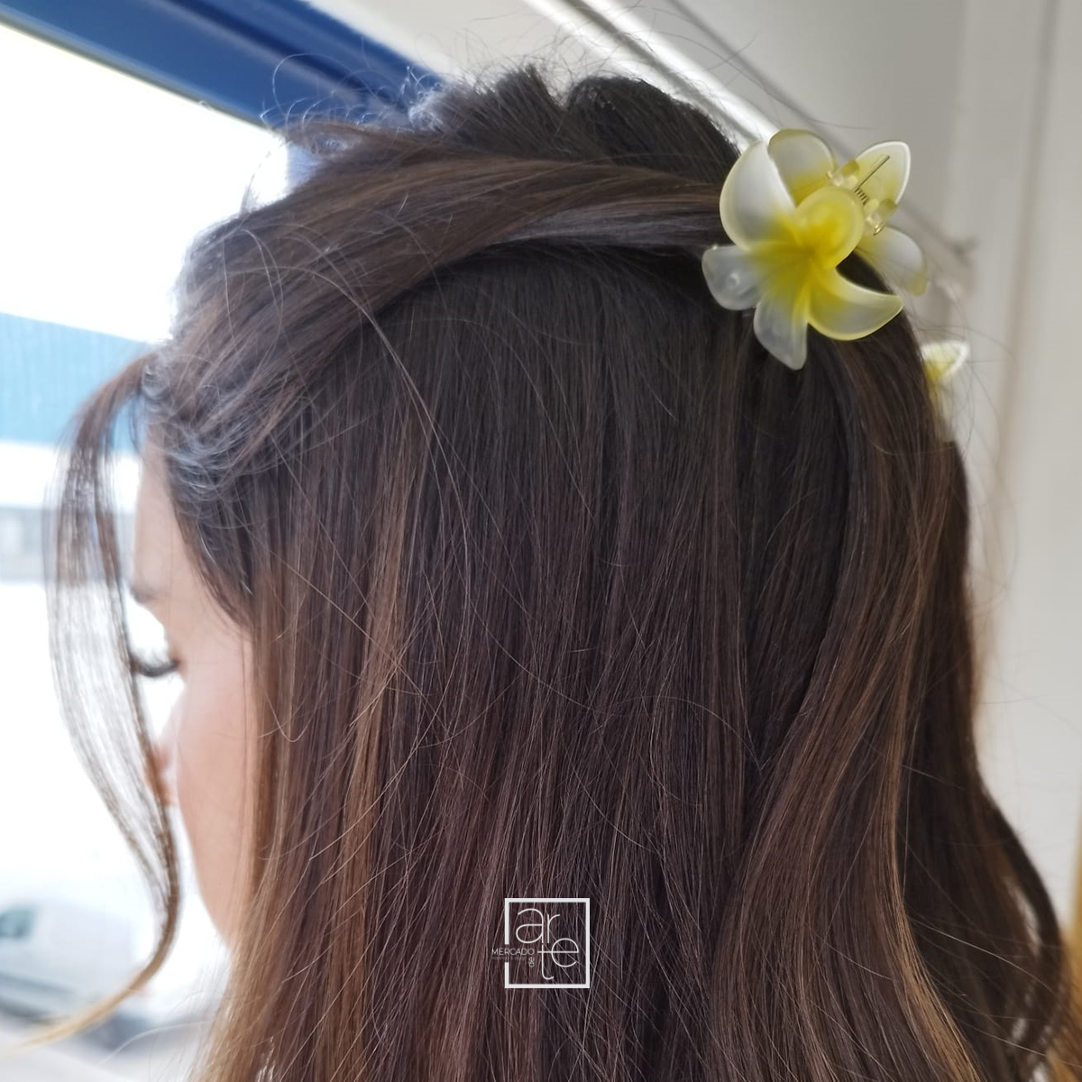 Conjunto molas cabelo "Monoi"